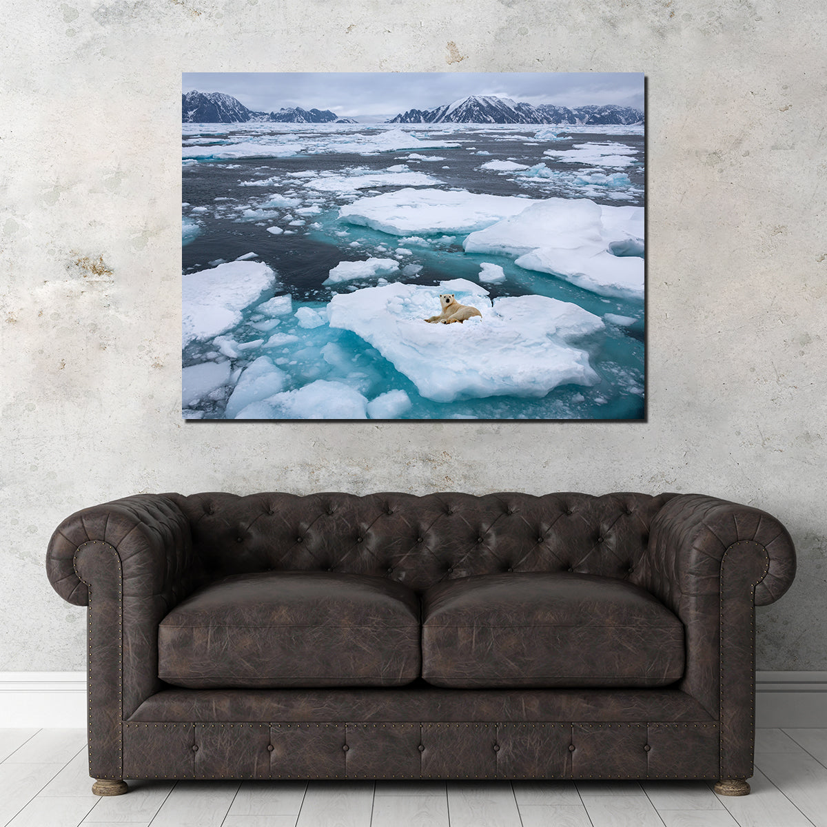 Stunning Polar Bear - Greenland Wall Art for Home Decor