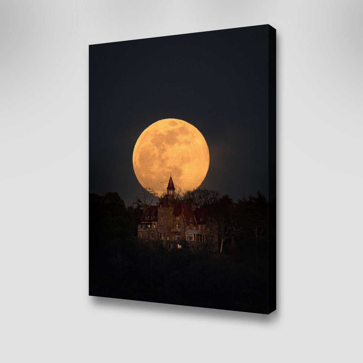 Stunning Pink Moon Over Osborn Castle Wall Art by Dennis Maida