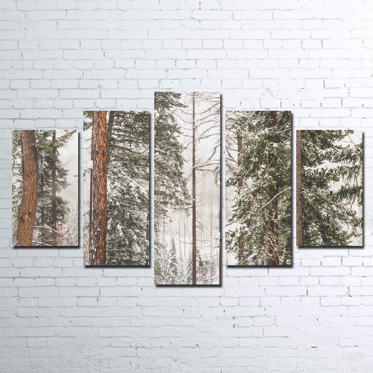 Stunning Snow in Lois Creek Wall Art by Mike Cotton
