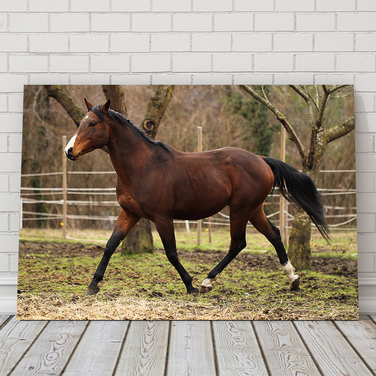 Exquisite American Quarter Horse Stallion Wall Art for Your Home Decor