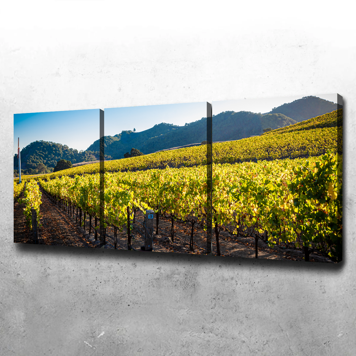 Stunning Central California Vineyard Wall Art for Your Home Decor