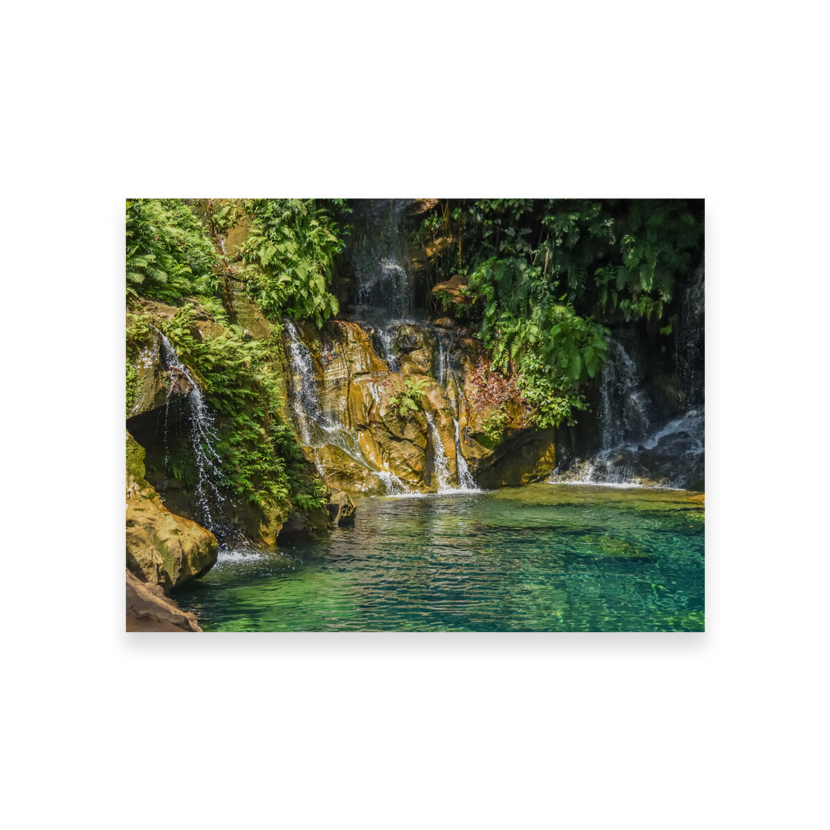 Heaven on Earth Wall Art by Sofia Leite Fonseca - Museum Quality Canvas Art