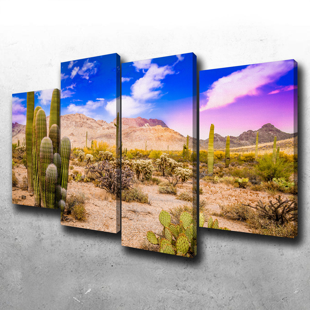 Gorgeous Arizona Desert Springtime Wall Art for Stunning Home Decor