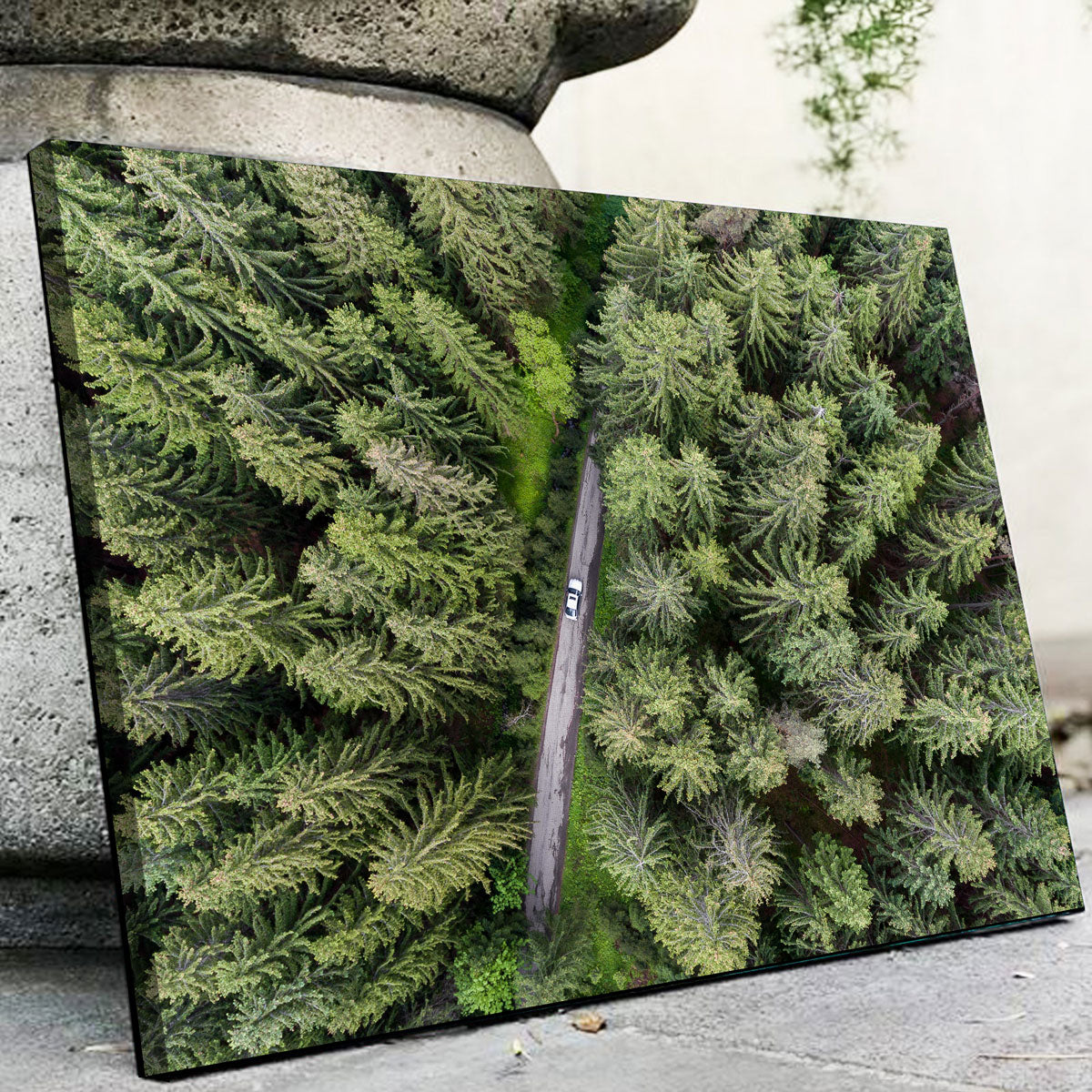 Stunning Hidden Road Wall Art by Karolis Janulis