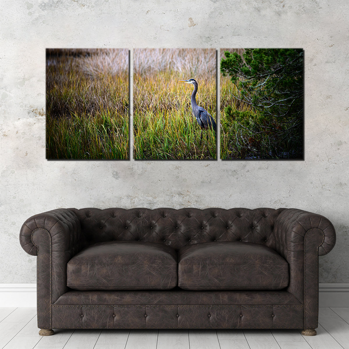 Stunning Heron Jekyll Island Wall Art by Barry Pack