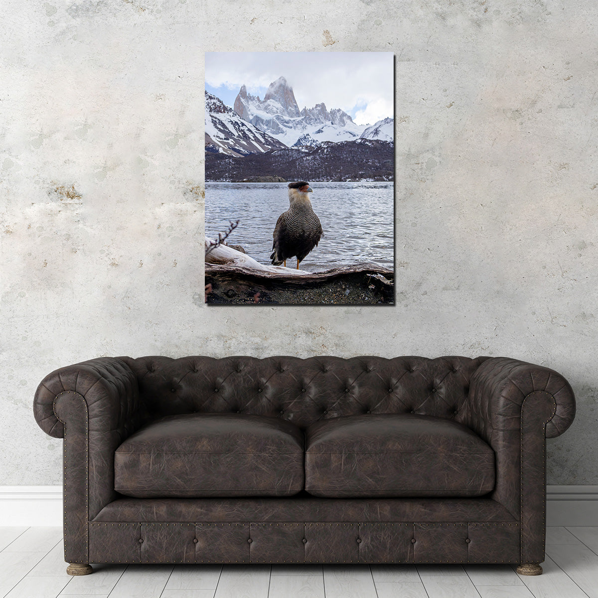 Stunning Carcará and Fitz Roy Art Prints by Sofia Leite Fonseca