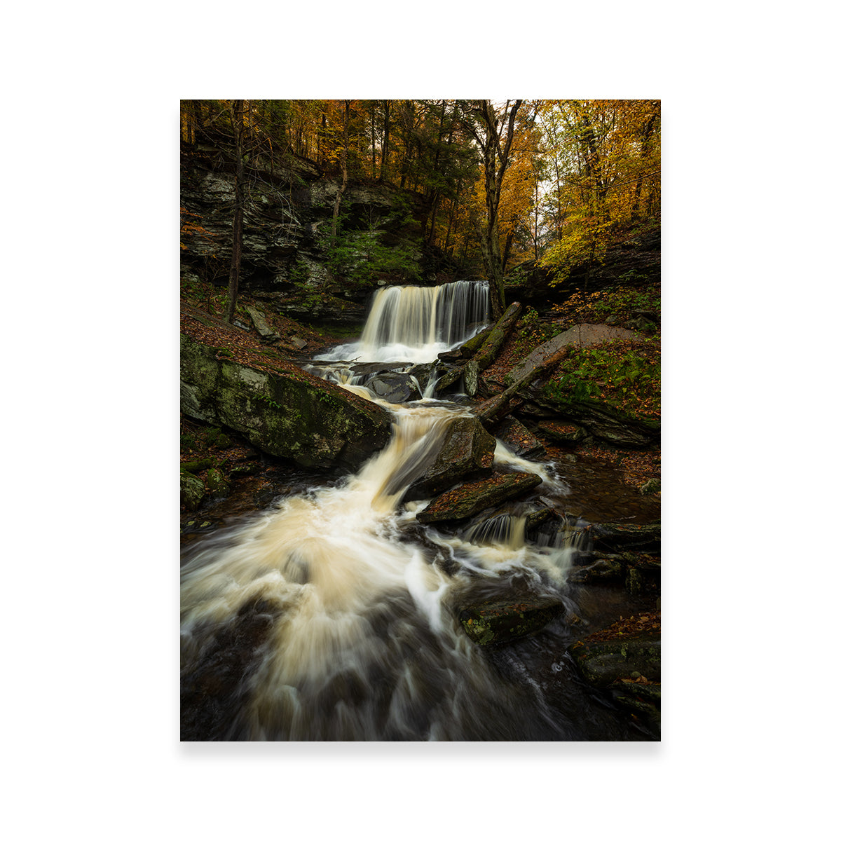 Serenity Now Premium Wall Art by Dennis Maida