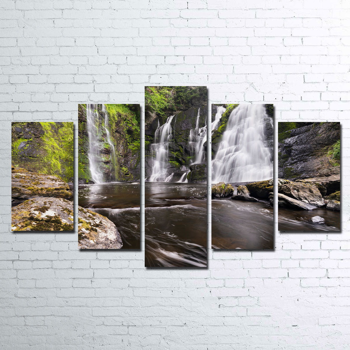 Exquisite Serenity Wall Art by Shaun Mayer