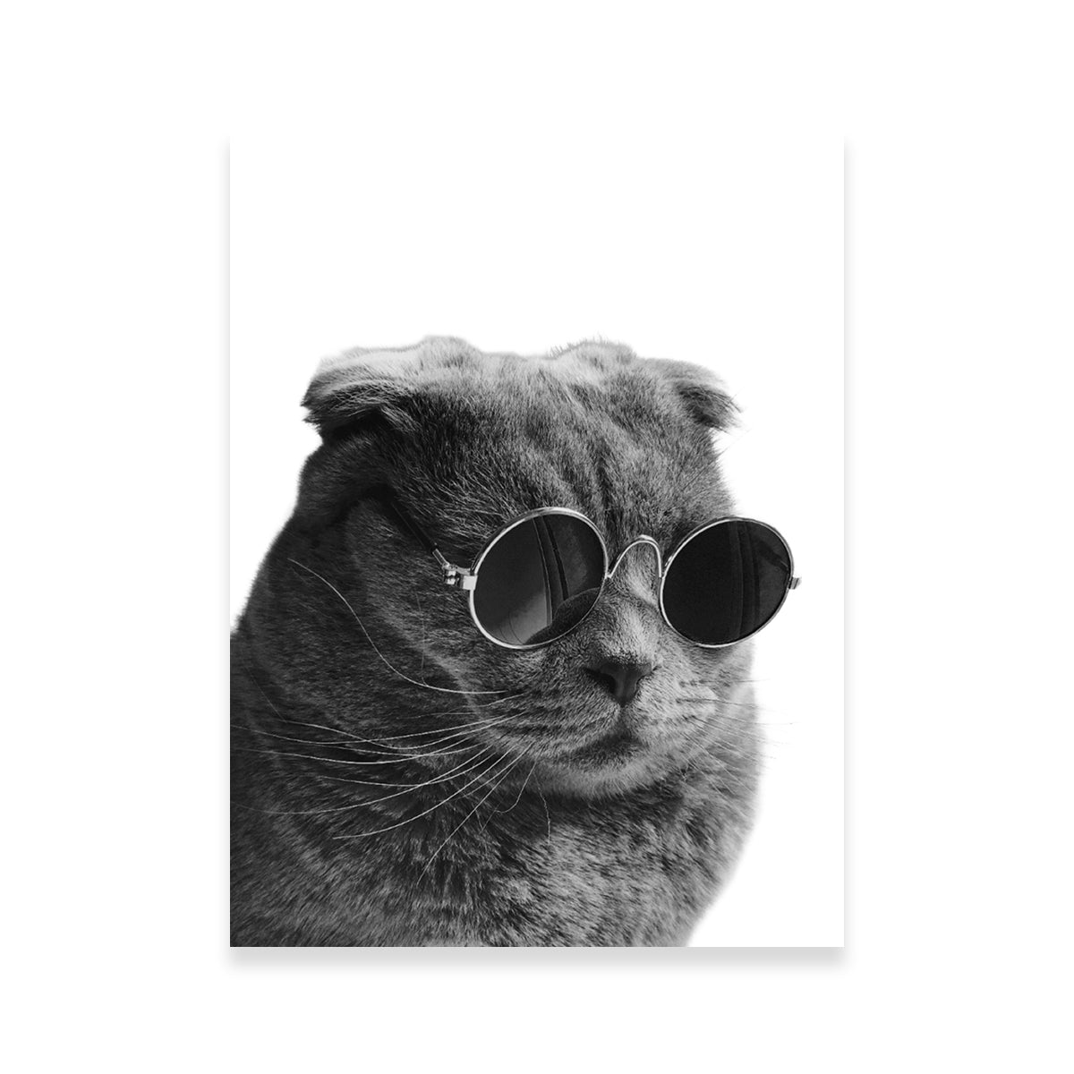 Stylish Cat Cool Wall Art by Lawisi