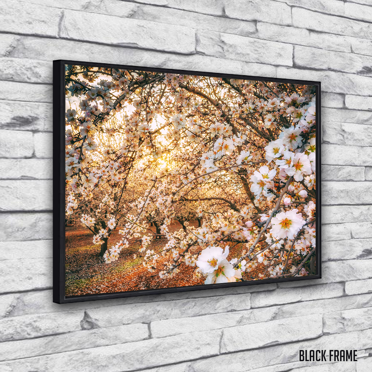 Stunning California Blossom Trail Wall Art for Your Home Decor