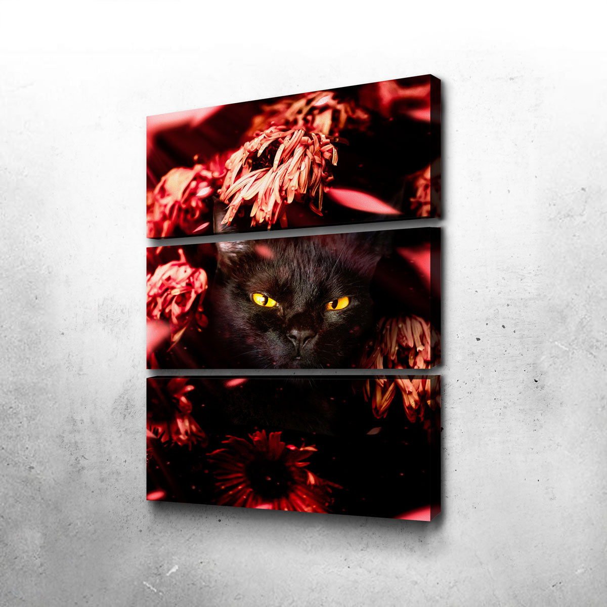 Stunning Cat Black Petals Wall Art by Manuel Luces