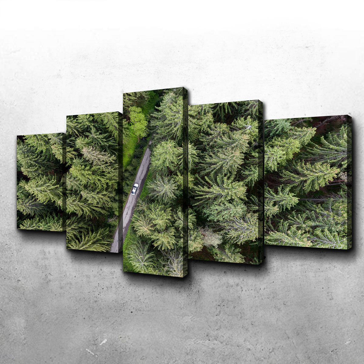Stunning Hidden Road Wall Art by Karolis Janulis