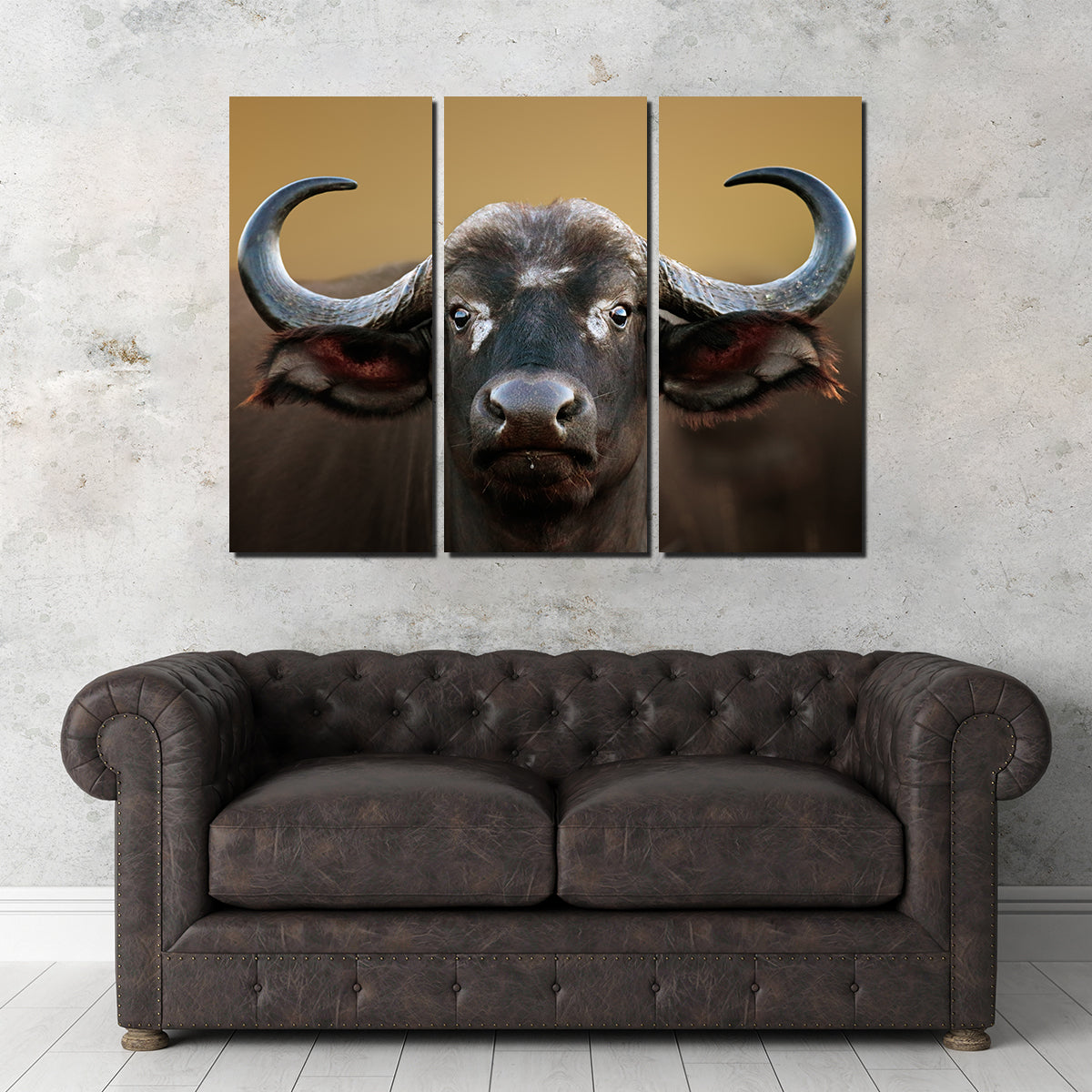 Stunning Cape Buffalo Wall Art from Kruger National Park