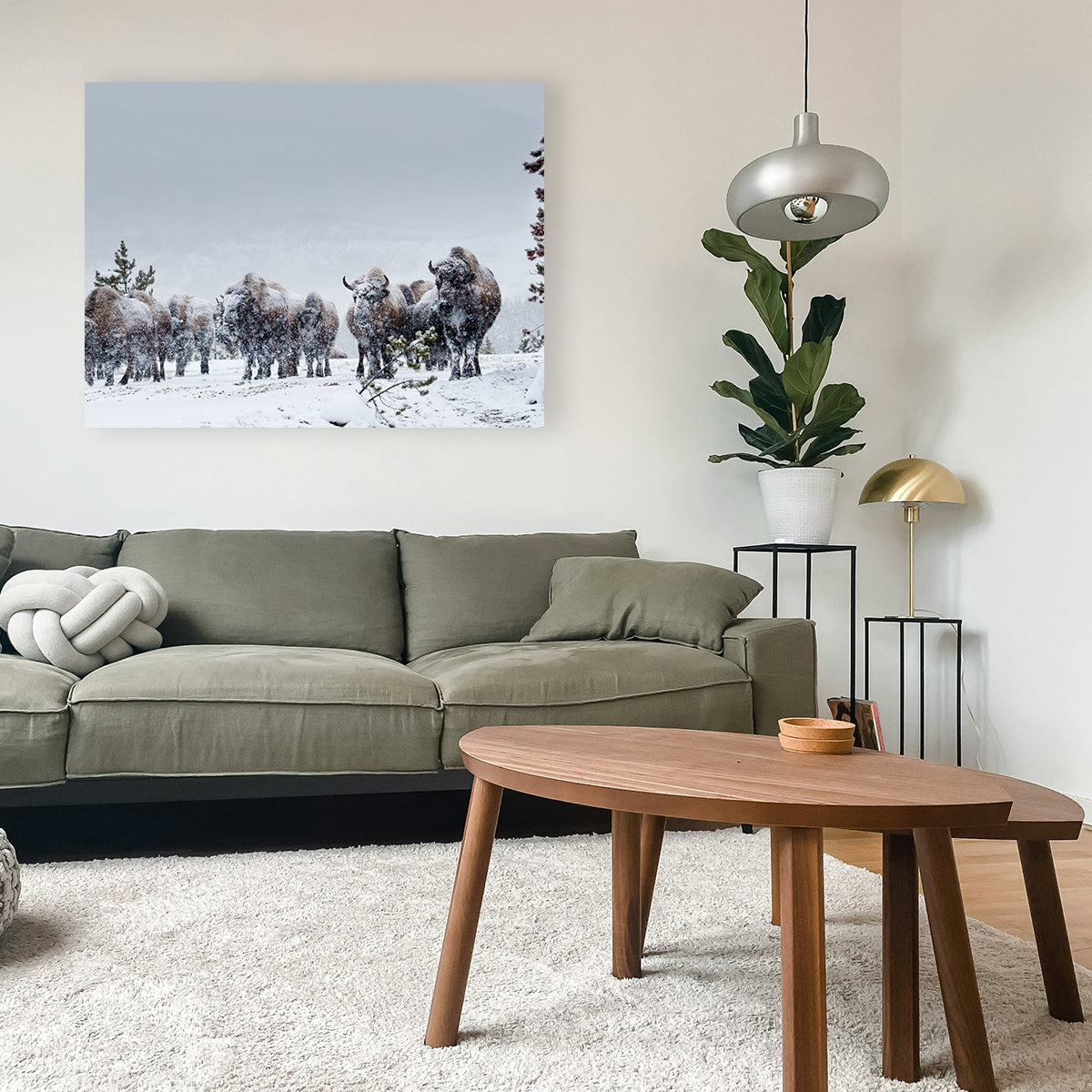 Stunning American Bison in Winter Snow Wall Art for Your Home Decor
