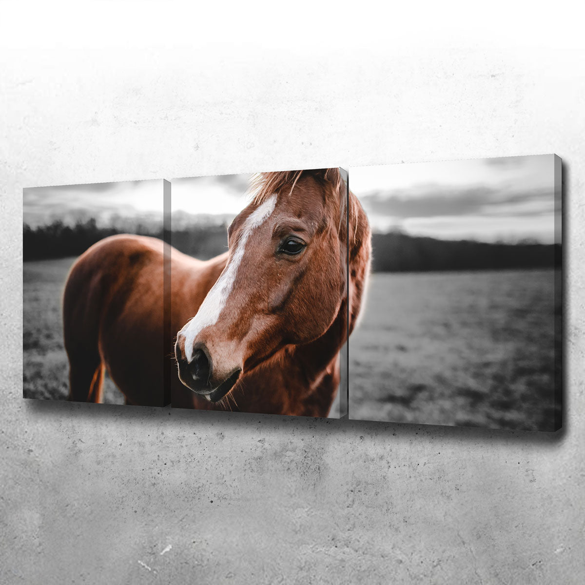Exquisite Shining Horse Wall Art by Lucas Moore