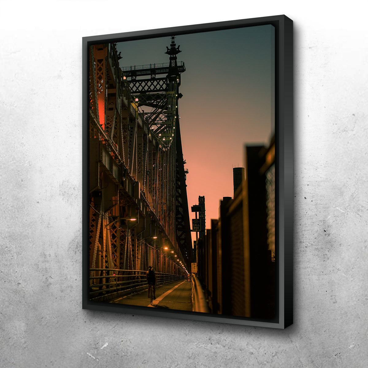 Stunning Biking the Queensboro Bridge Wall Art by Charity Dos Santos