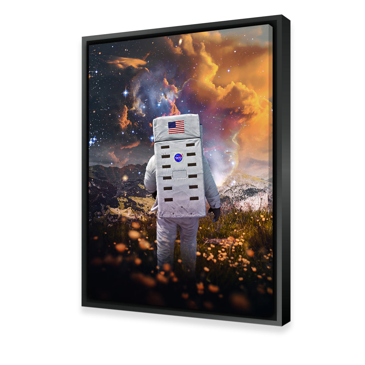 Stunning Astro Flower Canvas Art for Striking Wall Decor