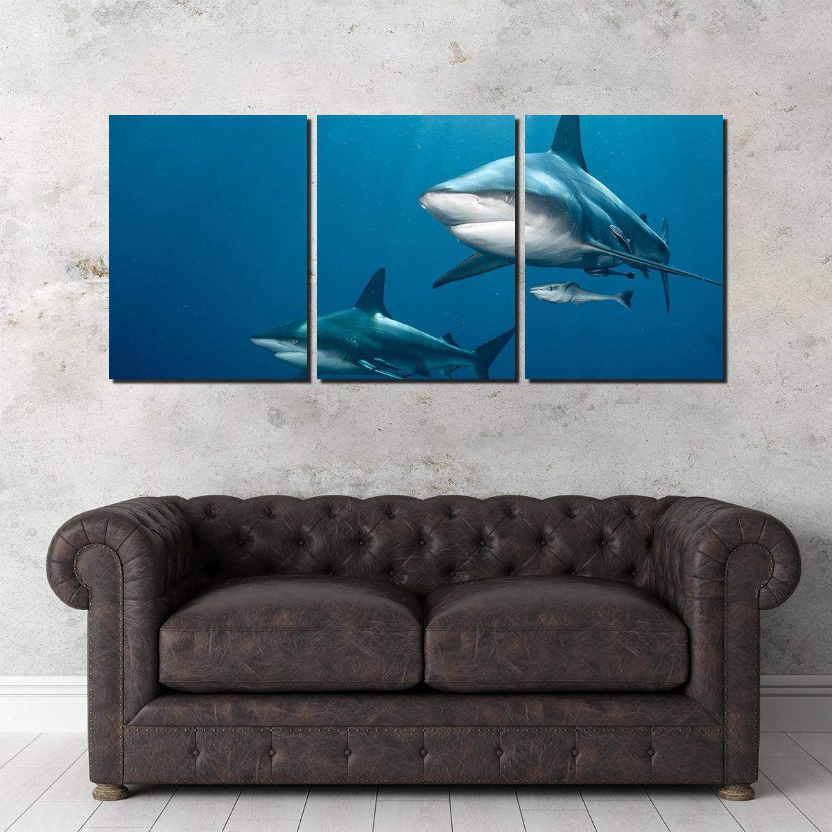 Exquisite Shark Pair Wall Art for Stunning Home Decor