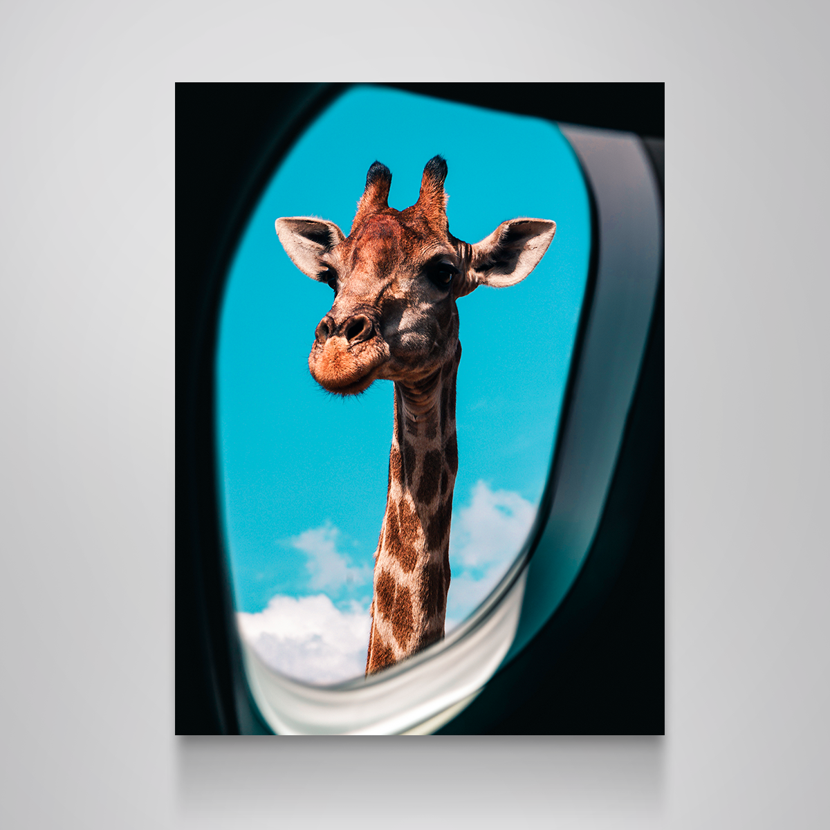 Stunning 'Hi There!' Wall Art by Manuel Luces