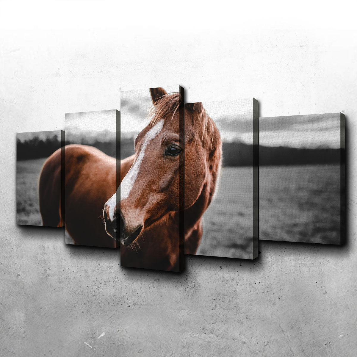 Exquisite Shining Horse Wall Art by Lucas Moore