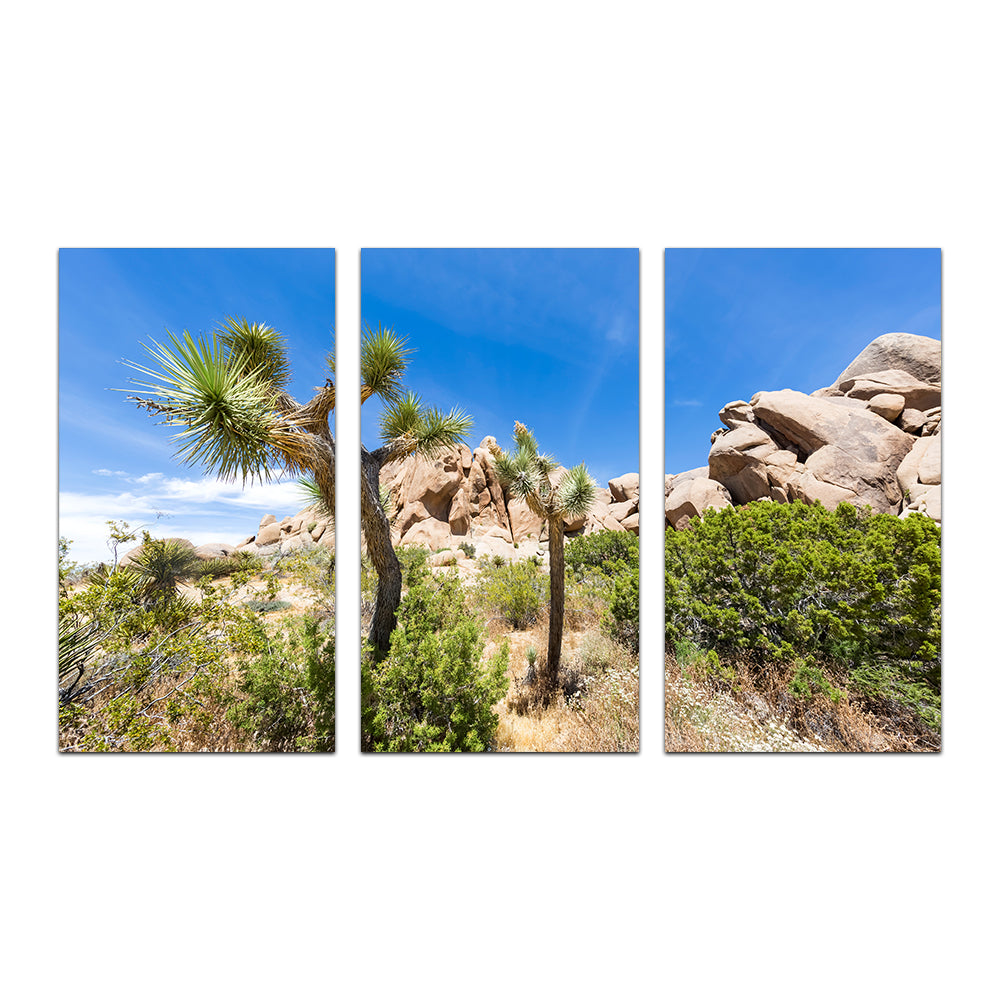 Stunning Impression from Joshua Tree National Park Wall Art for Your Home Decor