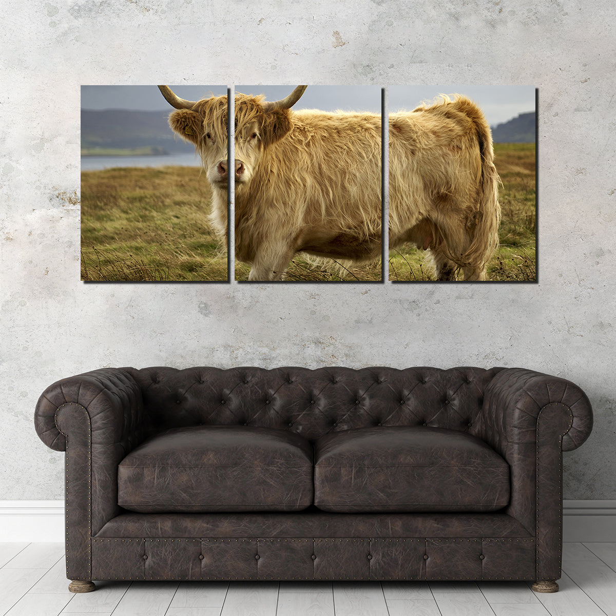 Charming Highland Cow Countryside Wall Art for Stunning Home Decor