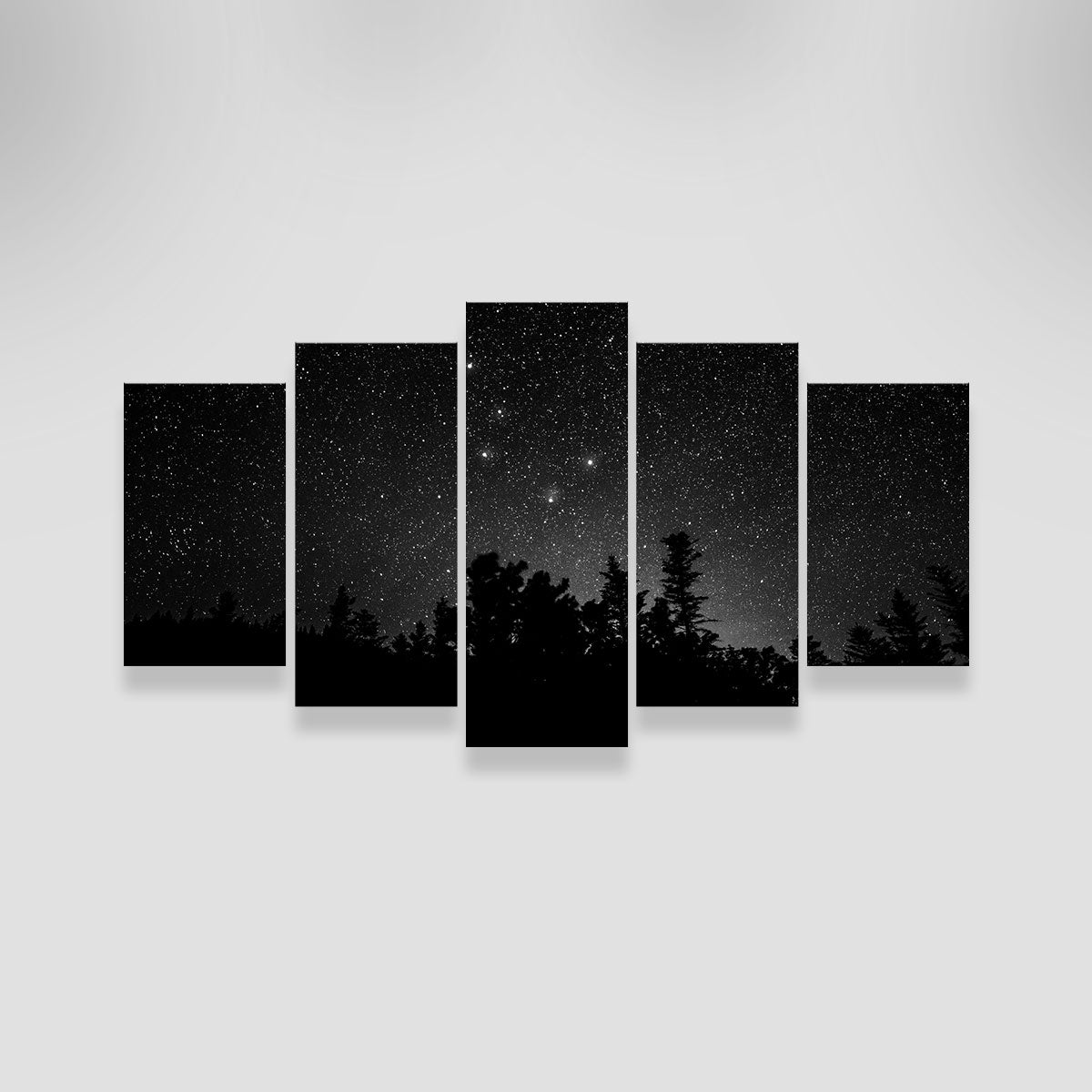 Exquisite Big Dipper Starry Night Wall Art by Dennis Maida