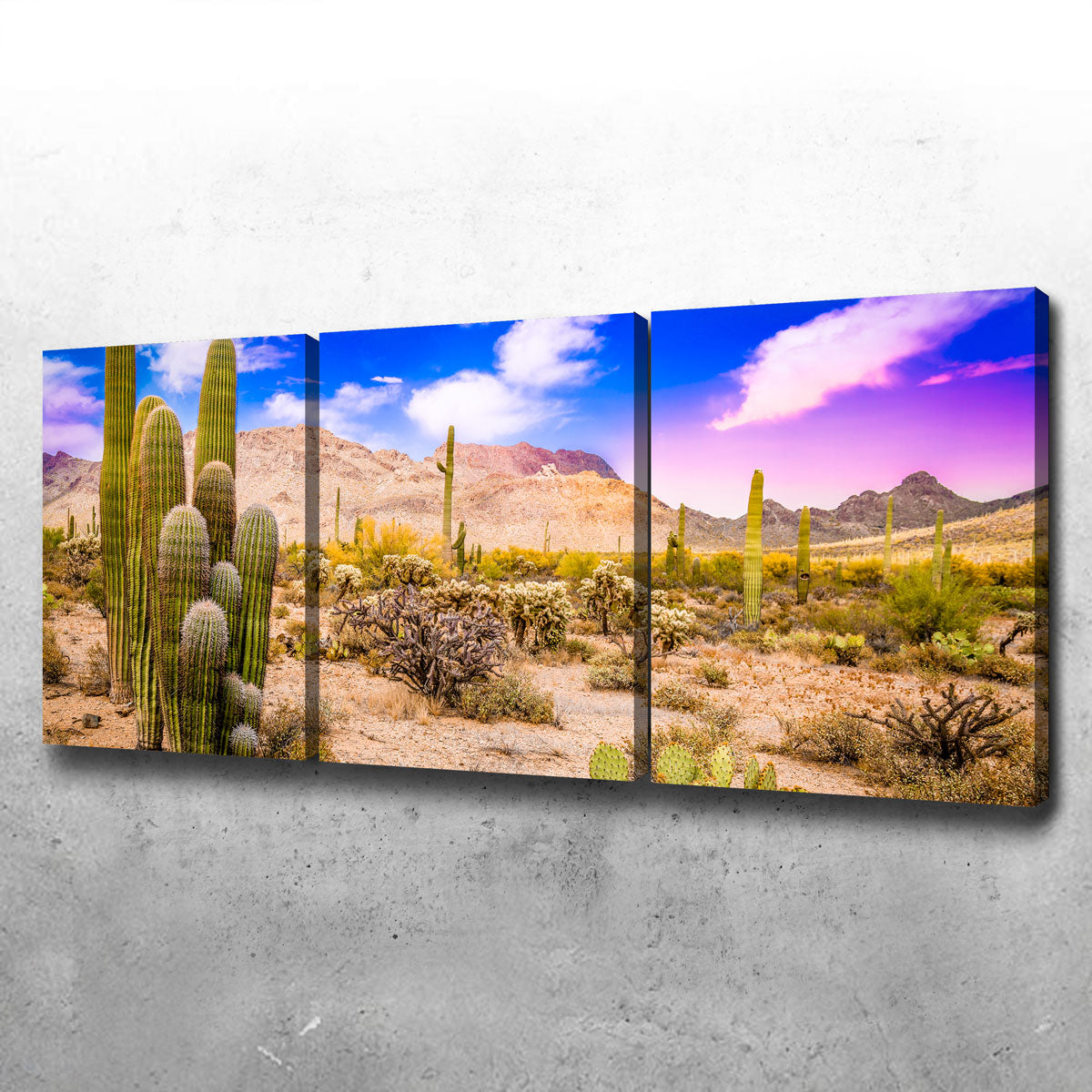 Gorgeous Arizona Desert Springtime Wall Art for Stunning Home Decor
