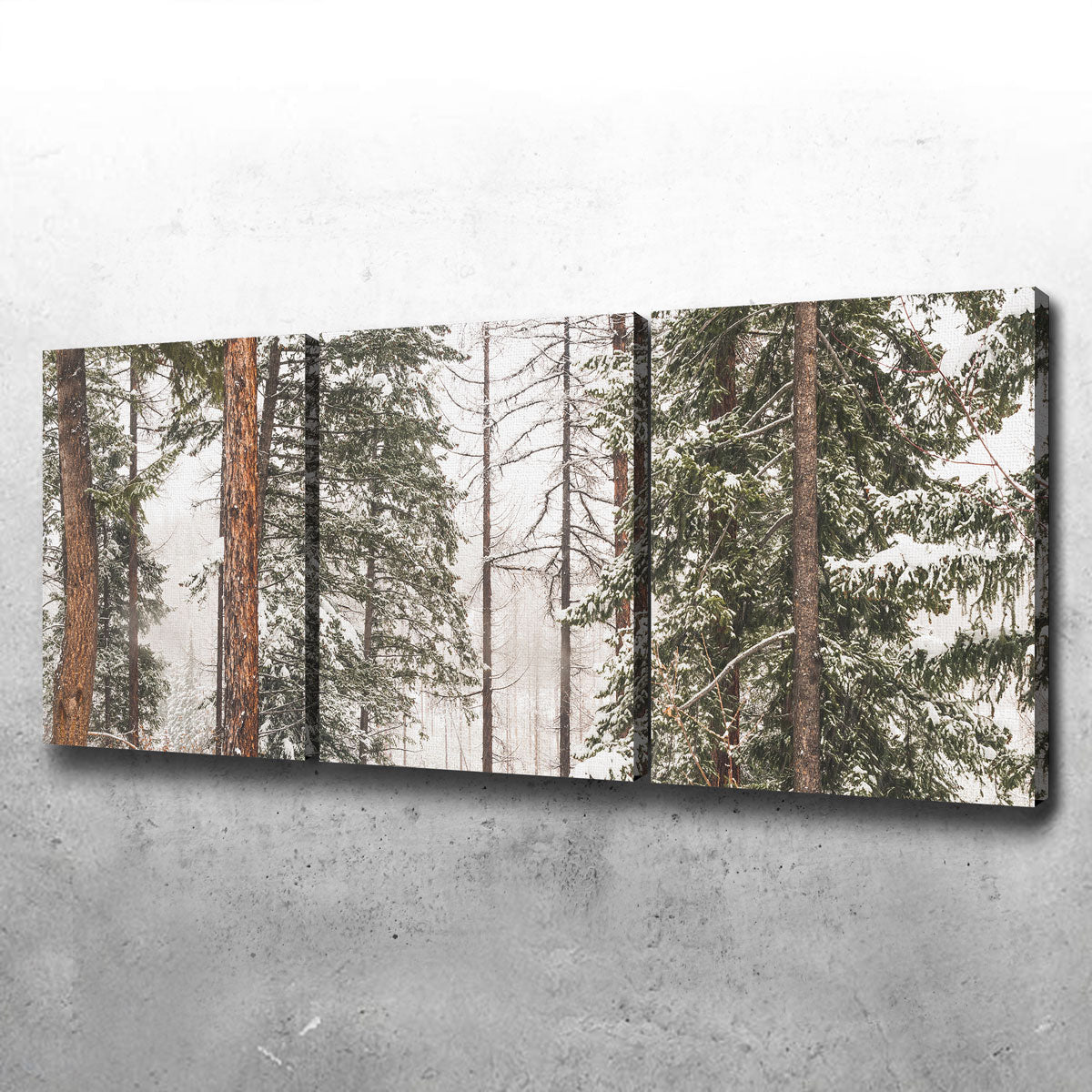 Stunning Snow in Lois Creek Wall Art by Mike Cotton