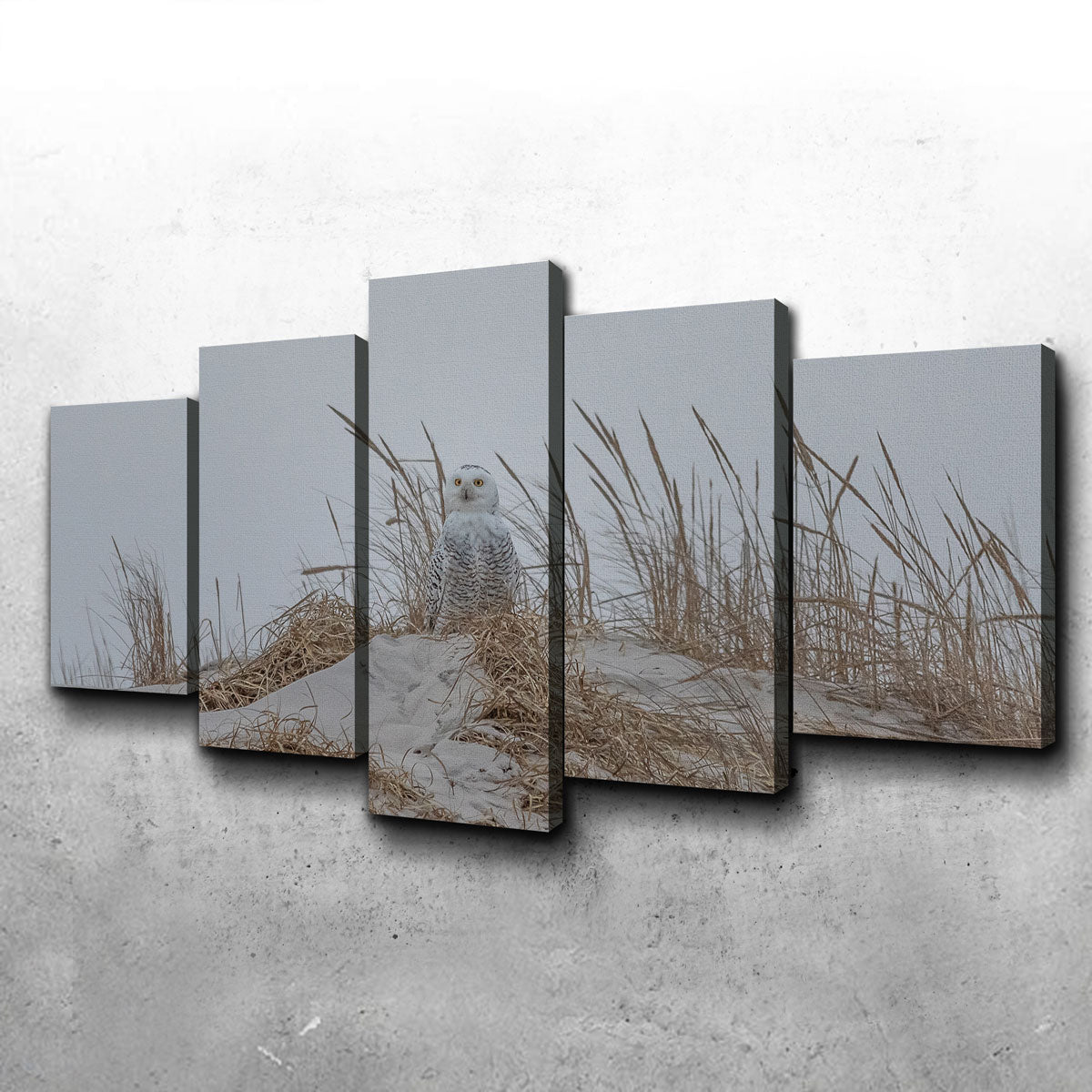 Exquisite Snowy Owl Wall Art by Dennis Maida