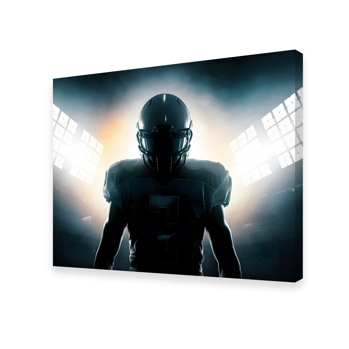 In the Zone Premium Wall Art - Sustainable Kiln - Dried Pine Frame