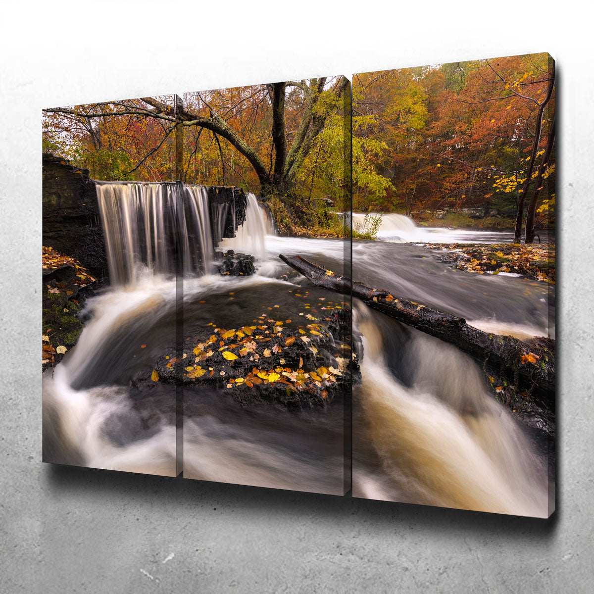 Eye - Catching Side Stepping Wall Art by Shaun Mayer