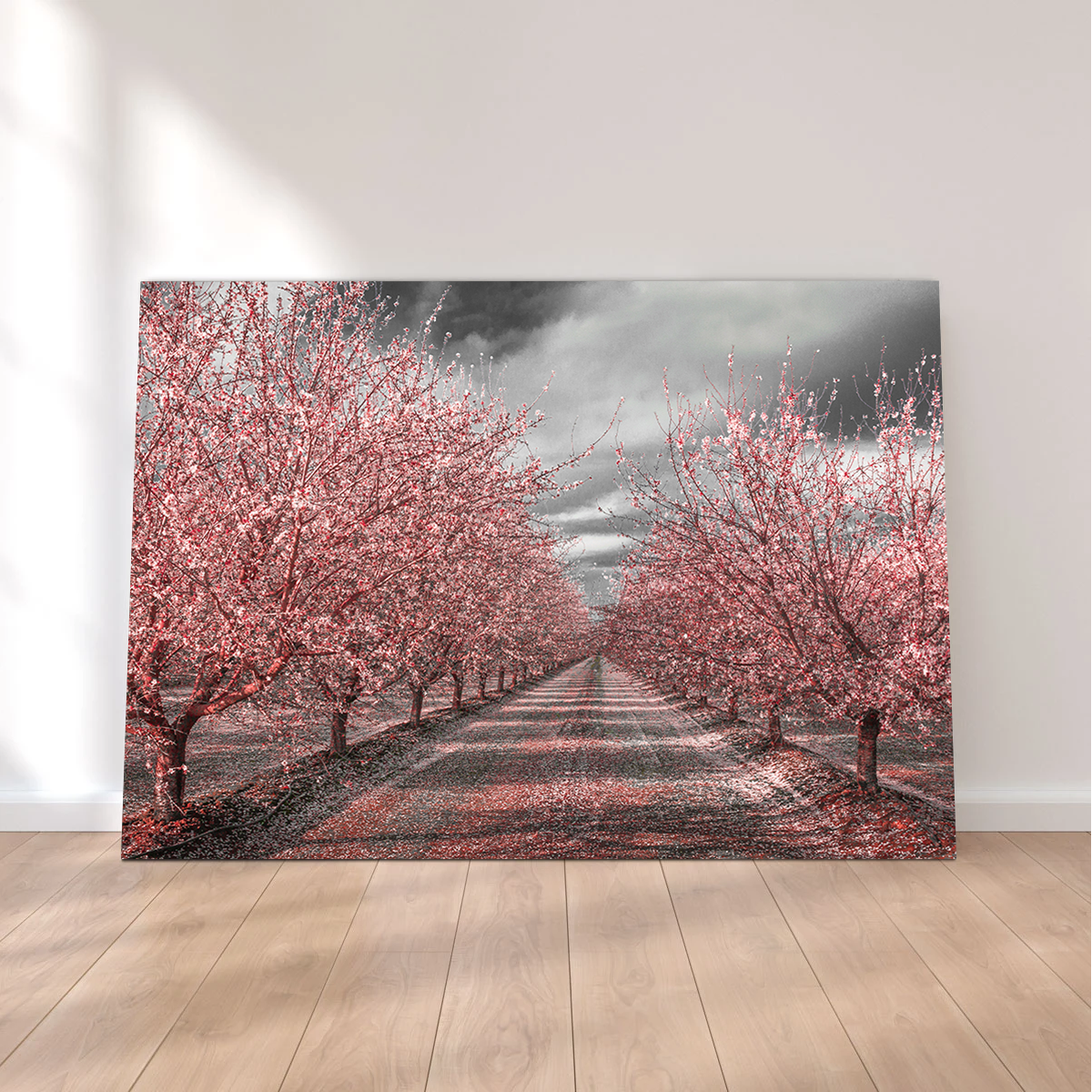 Stunning California Pink Blossoms Wall Art for Your Home Decor