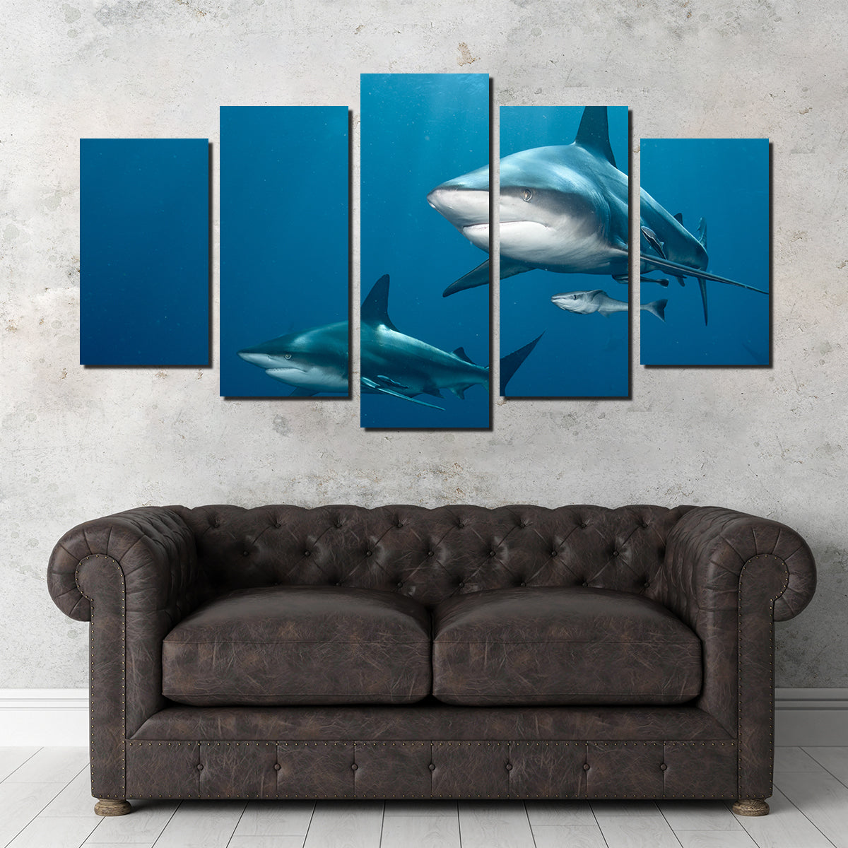 Exquisite Shark Pair Wall Art for Stunning Home Decor