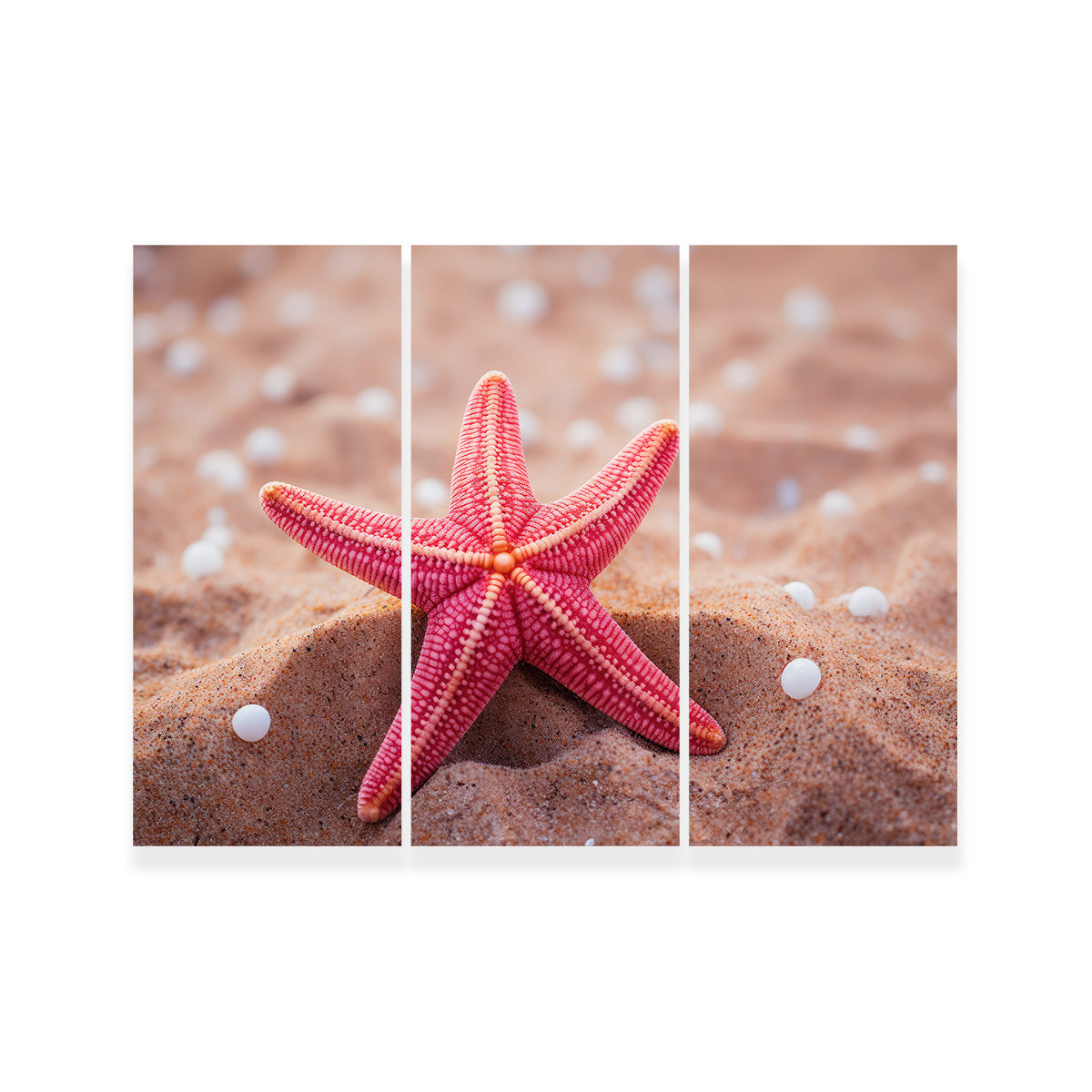 Gorgeous Pink Star Fish Canvas Print