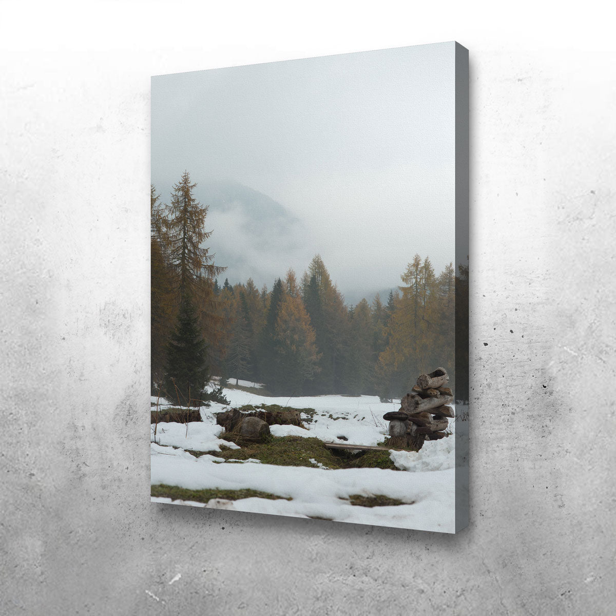 Stylish Autumn and Winter Wall Art by Enzo Romano