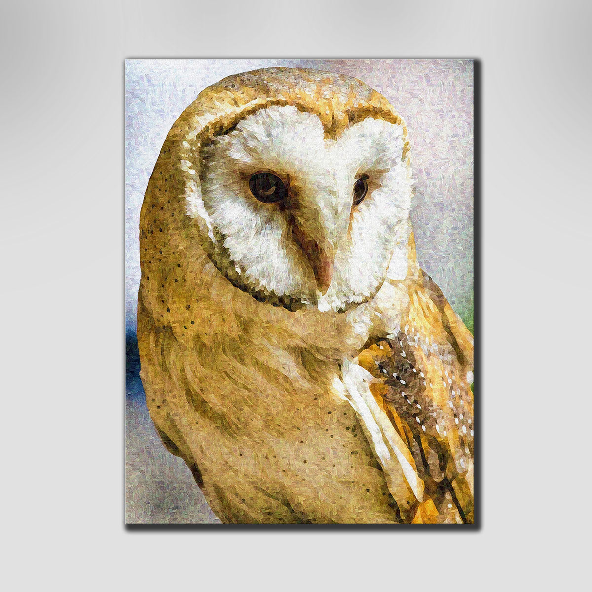 Exquisite Barn Owl Wall Art by Denise Dundon