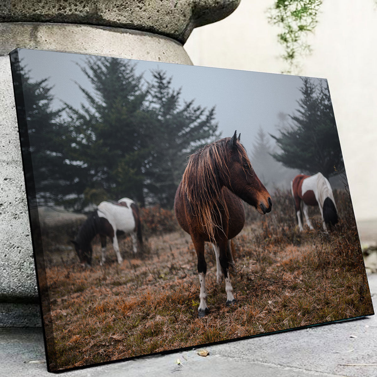 Stunning In The Wild Wall Art by Lucas Moore