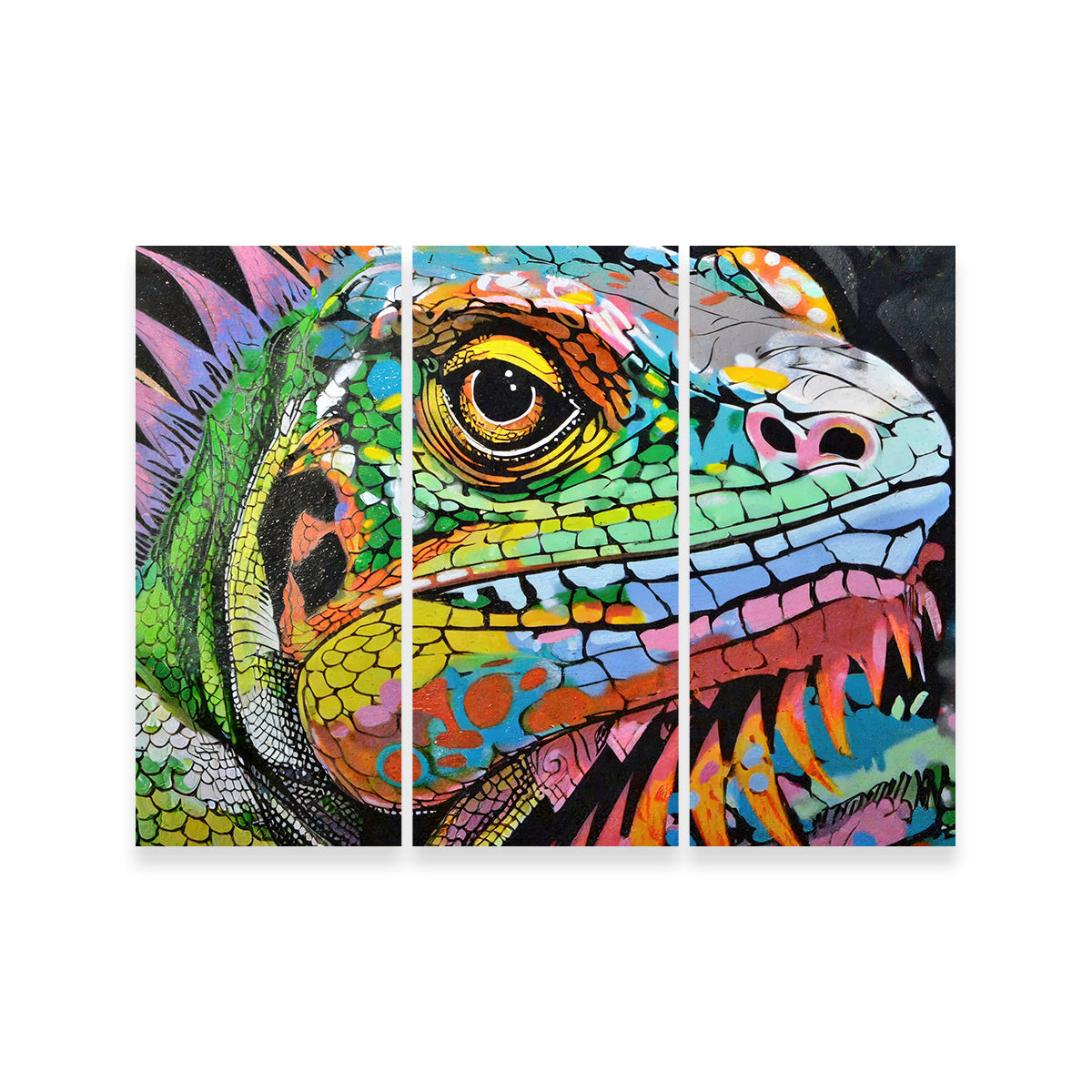 Stunning Iguana Graffiti Wall Art by Stephen Chambers