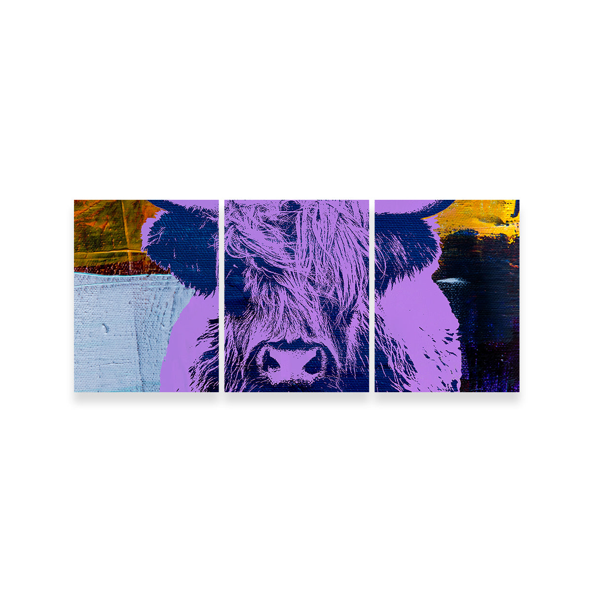 Gorgeous Highland Cow Wall Art by Stephen Chambers