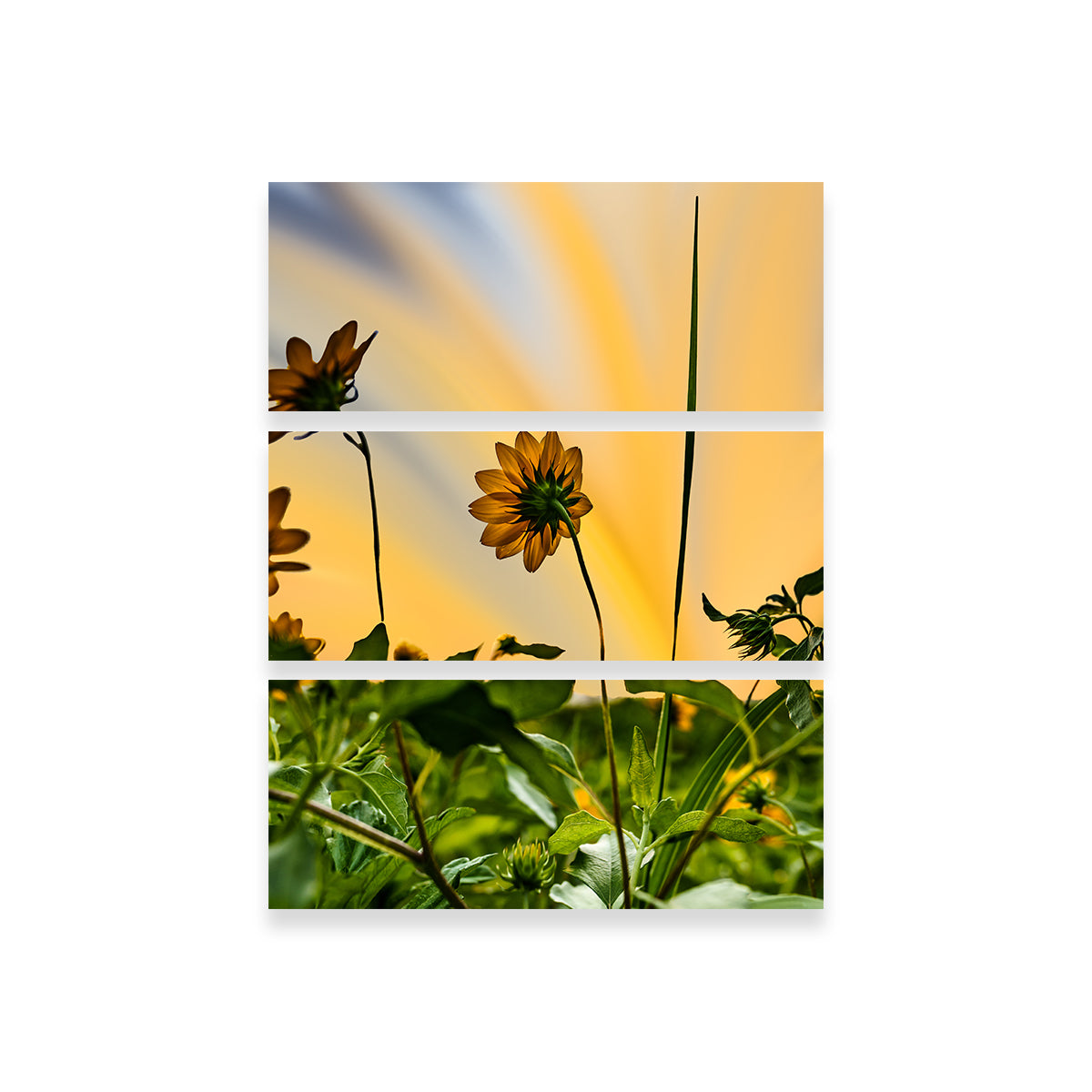 Stunning Beach Sunflowers Wall Art by Eileen Rollin