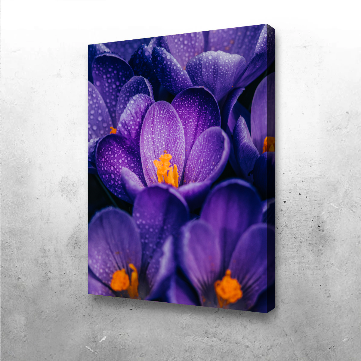 Gorgeous Purple Pollen Wall Art by Manuel Luces