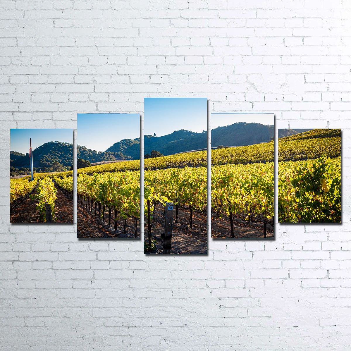 Stunning Central California Vineyard Wall Art for Your Home Decor
