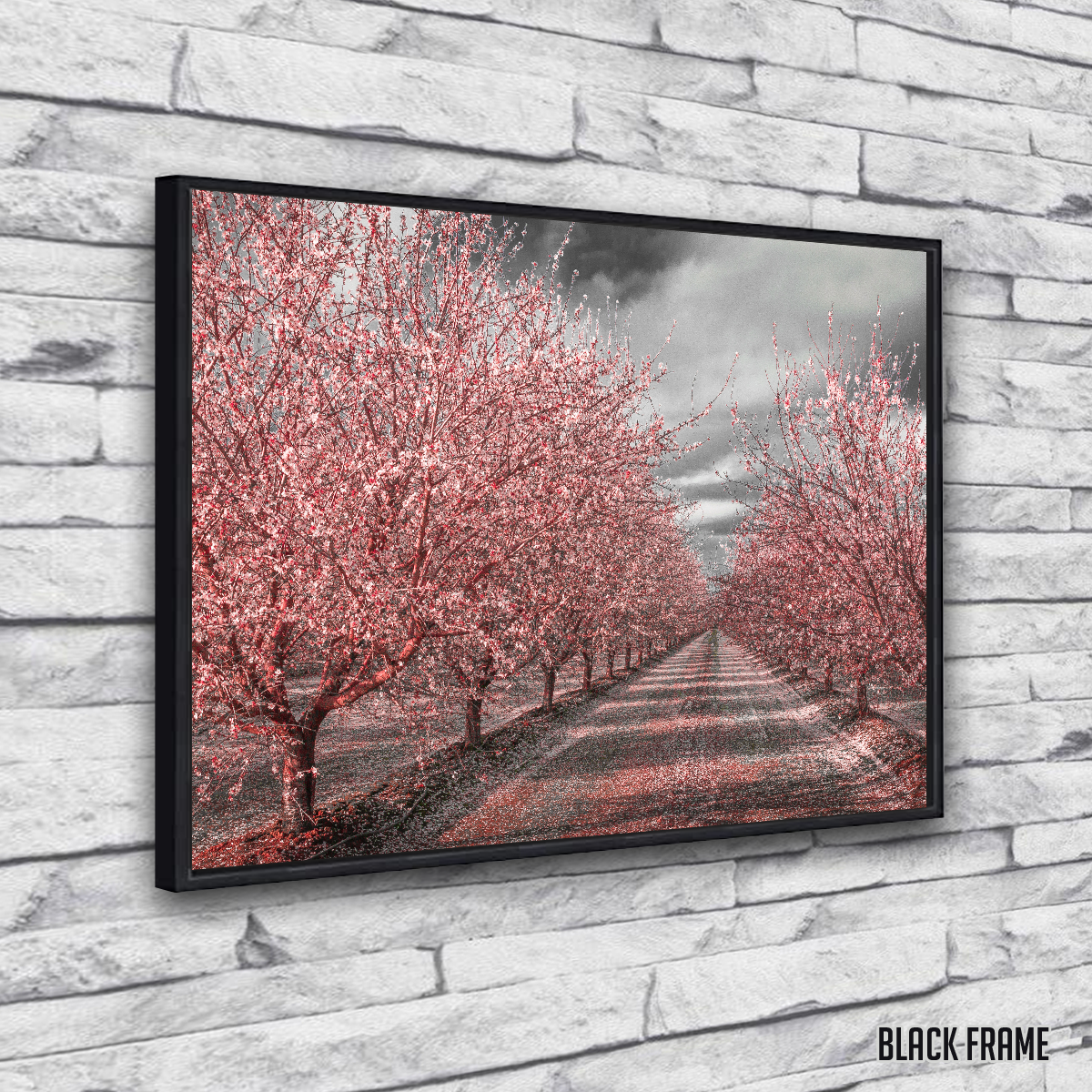 Stunning California Pink Blossoms Wall Art for Your Home Decor