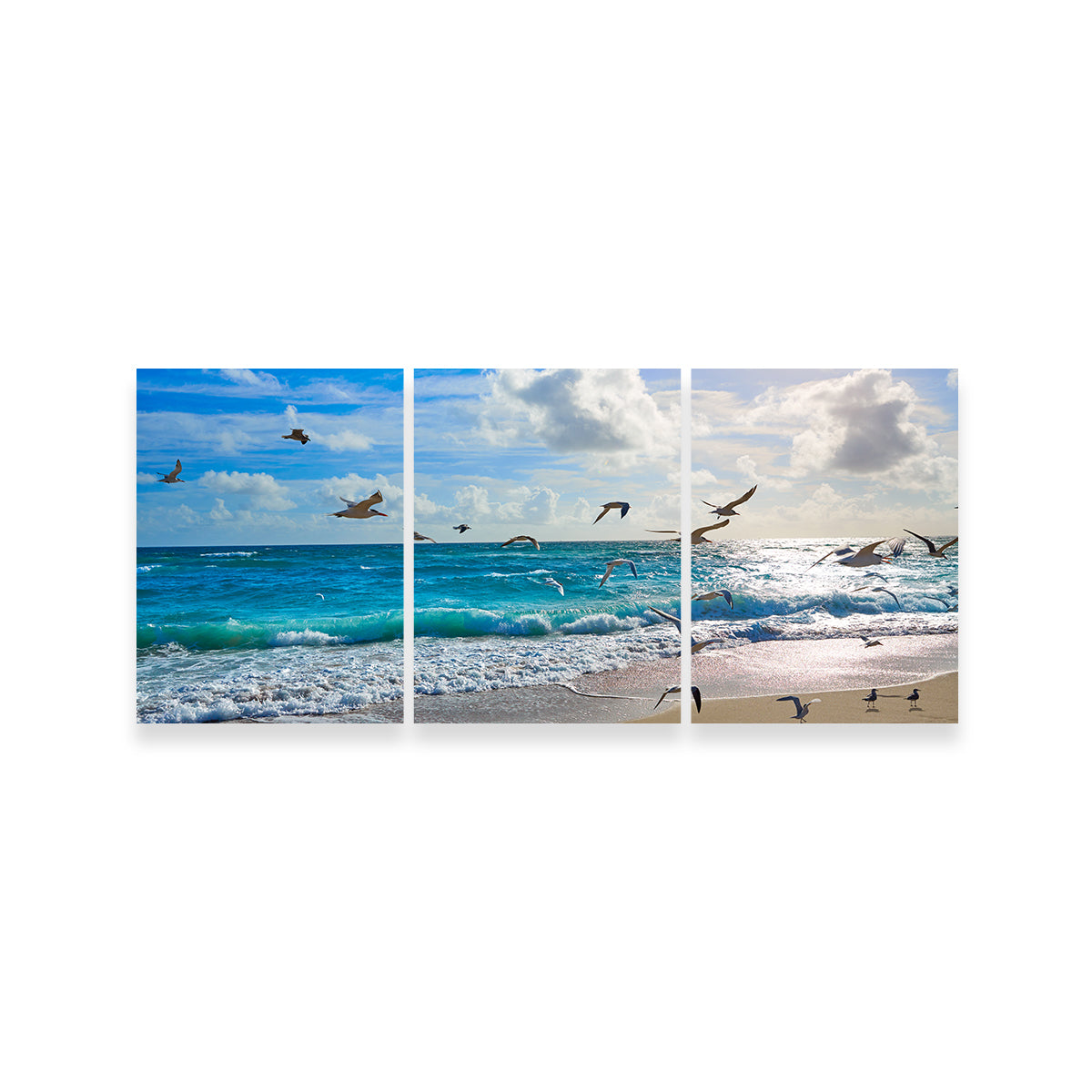 Stunning Singer Island Beach Seagulls Wall Art by Studiodtalk