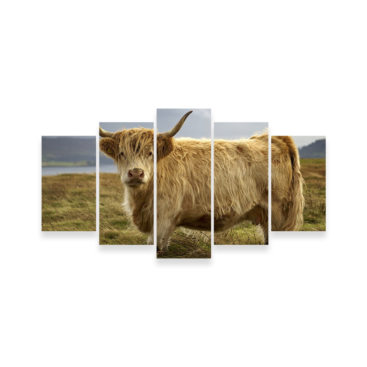 Charming Highland Cow Countryside Wall Art for Stunning Home Decor