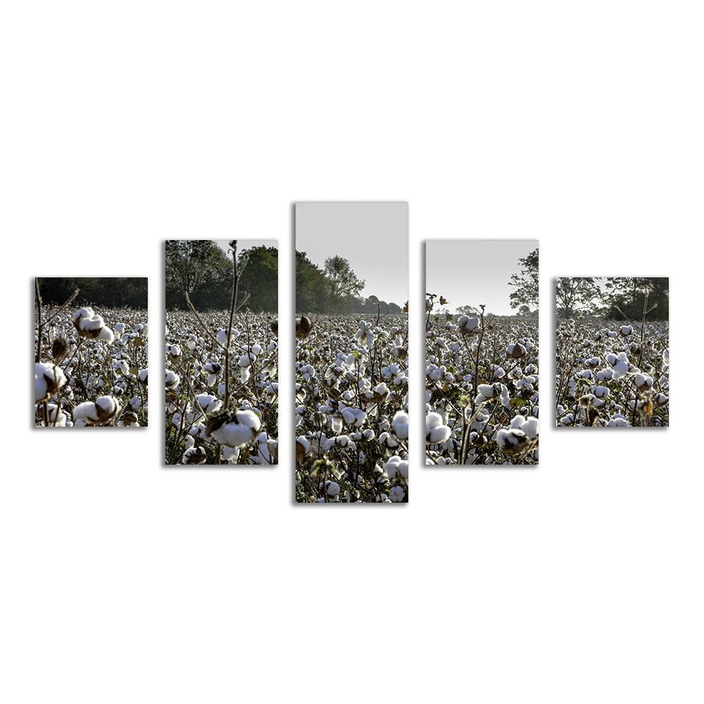 Stunning Alabama Cotton Field Wall Art for Your Home Decor