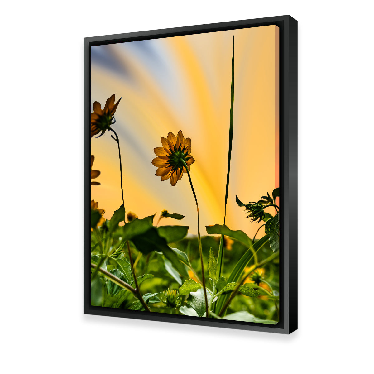 Stunning Beach Sunflowers Wall Art by Eileen Rollin