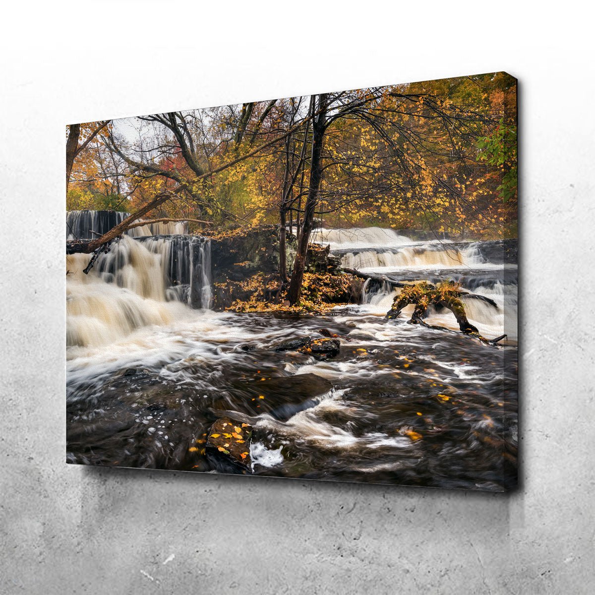 Eye - Catching Double Wall Art by Shaun Mayer