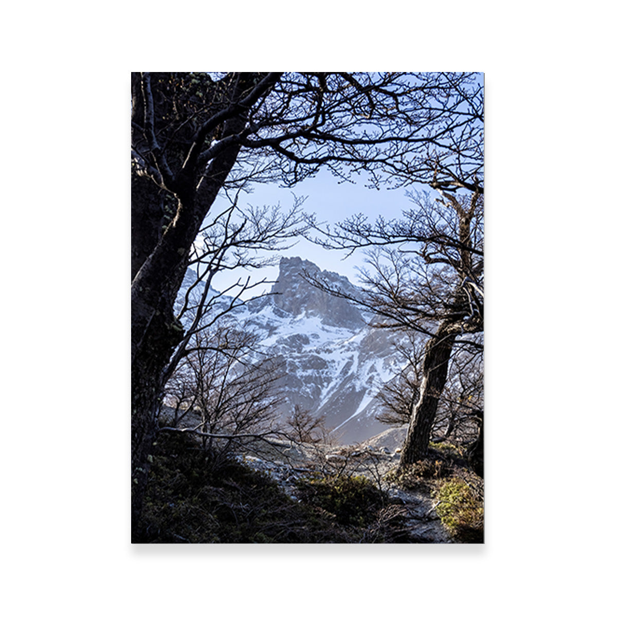 Exquisite Portal to Patagonia Canvas Print by Sofia Leite Fonseca